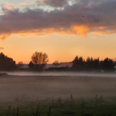 Fewo Am Wald Boek Esterno foto
