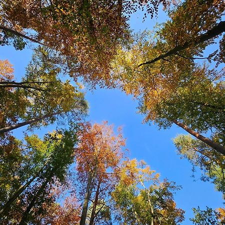 Fewo Am Wald Boek Esterno foto