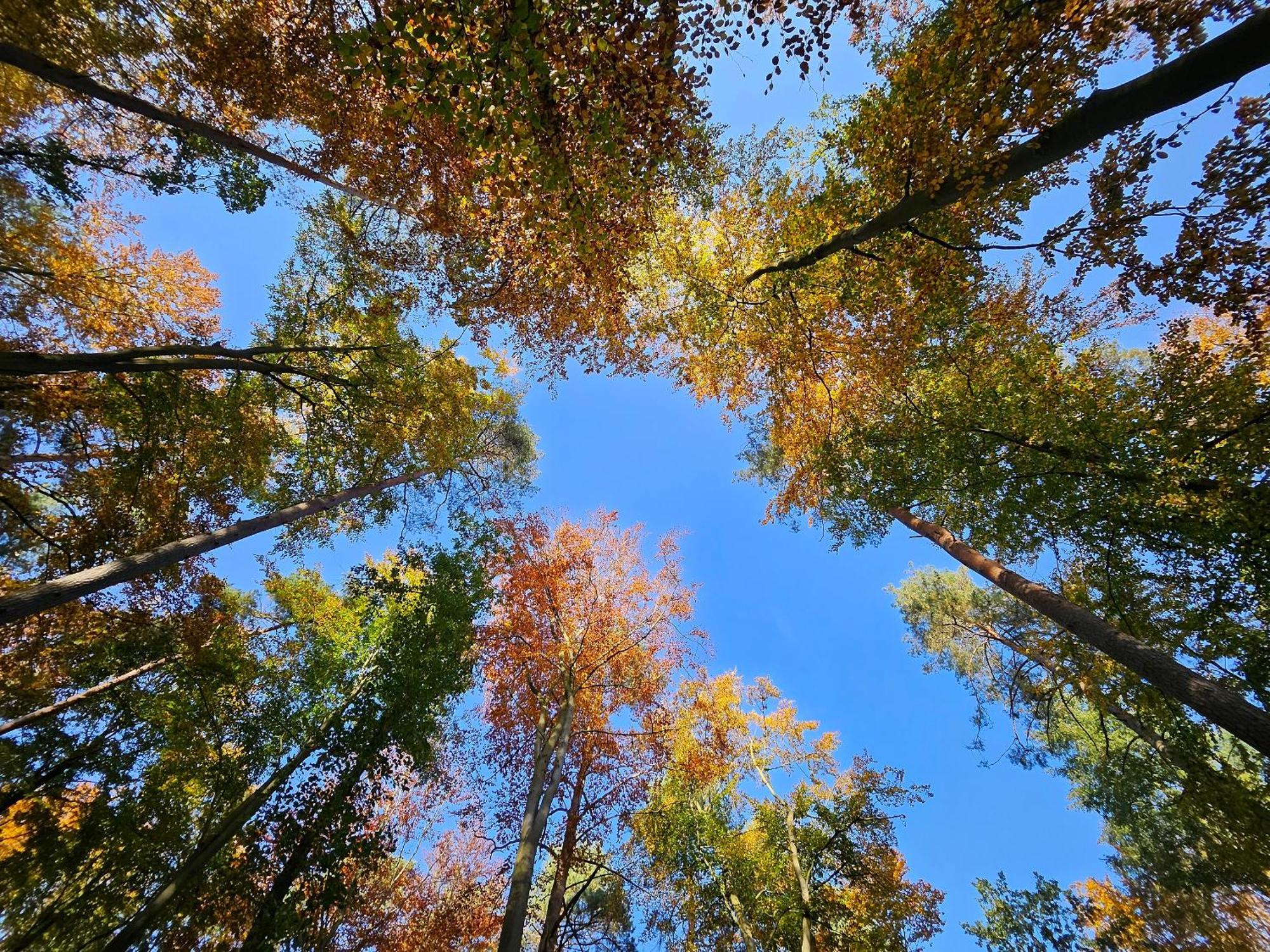 Fewo Am Wald Boek Esterno foto